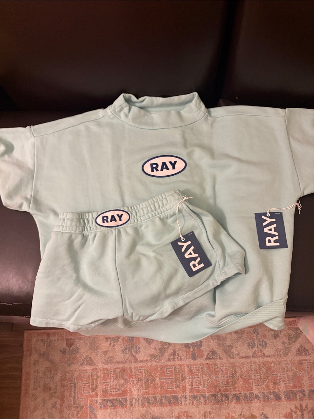 Seafoam Ray Mockneck and Short Set